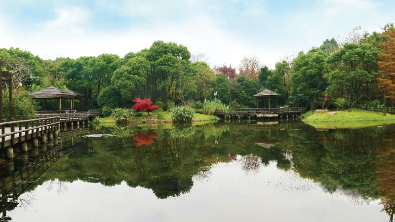 别墅花园景观设计：避坑指南，打造理想家园**
