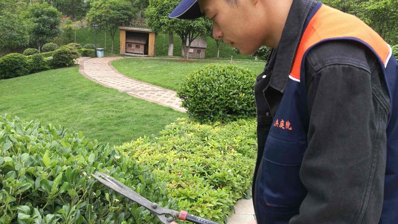 小区绿化改造，资质要求知多少？**