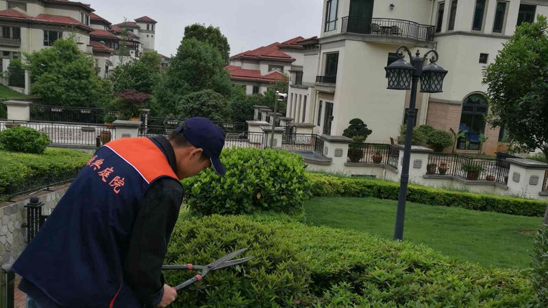 成都绿植租赁公司资质要求：关键要素与合规解读**