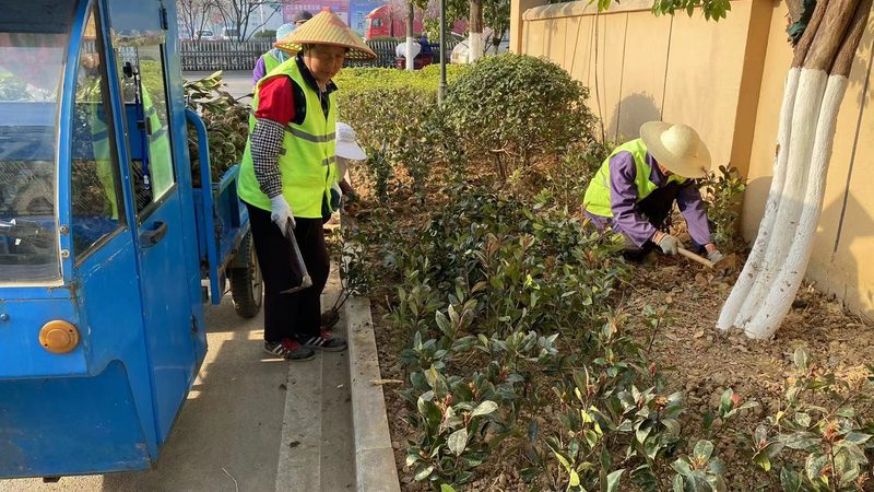 私家花园景观设计：从规划到完工的五大步骤