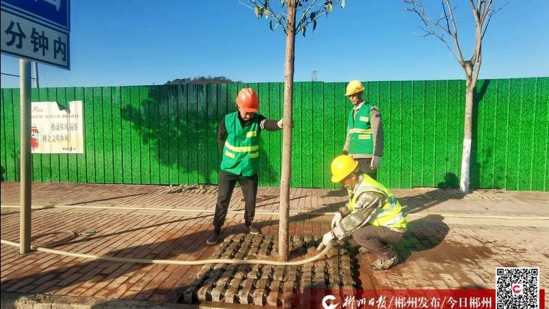 别墅花园设计与施工流程步骤解析