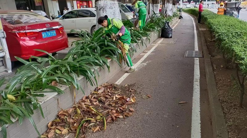 市政太阳能路灯采购，这些细节不容忽视**