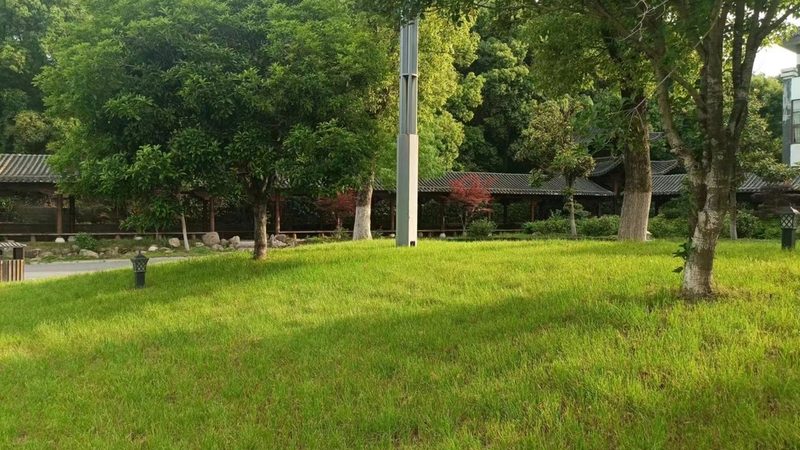 屋顶绿化，为城市增添一抹绿意——上海屋顶绿化施工公司如何打造生态屋顶**
